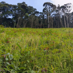 AFR100 au Togo : la FAO lance un appel à projets pour la restauration des paysages dans les Plateaux-Ouest