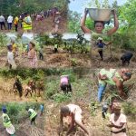 Togo : Le projet de loi portant Code forestier adopté par l’Assemblée nationale, un nouvel élan pour la restauration des paysages avec AFR100.