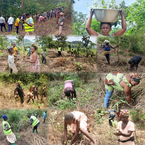 Togo : Le projet de loi portant Code forestier adopté par l’Assemblée nationale, un nouvel élan pour la restauration des paysages avec AFR100.