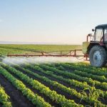 Agro-industrie : l’Afrique face au défi de transformer son potentiel en emplois