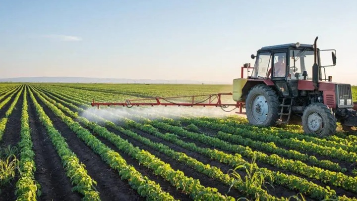 Agro-industrie : l’Afrique face au défi de transformer son potentiel en emplois