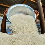 Riz brisé : la demande asiatique accentue la pression sur les marchés ouest-africains
